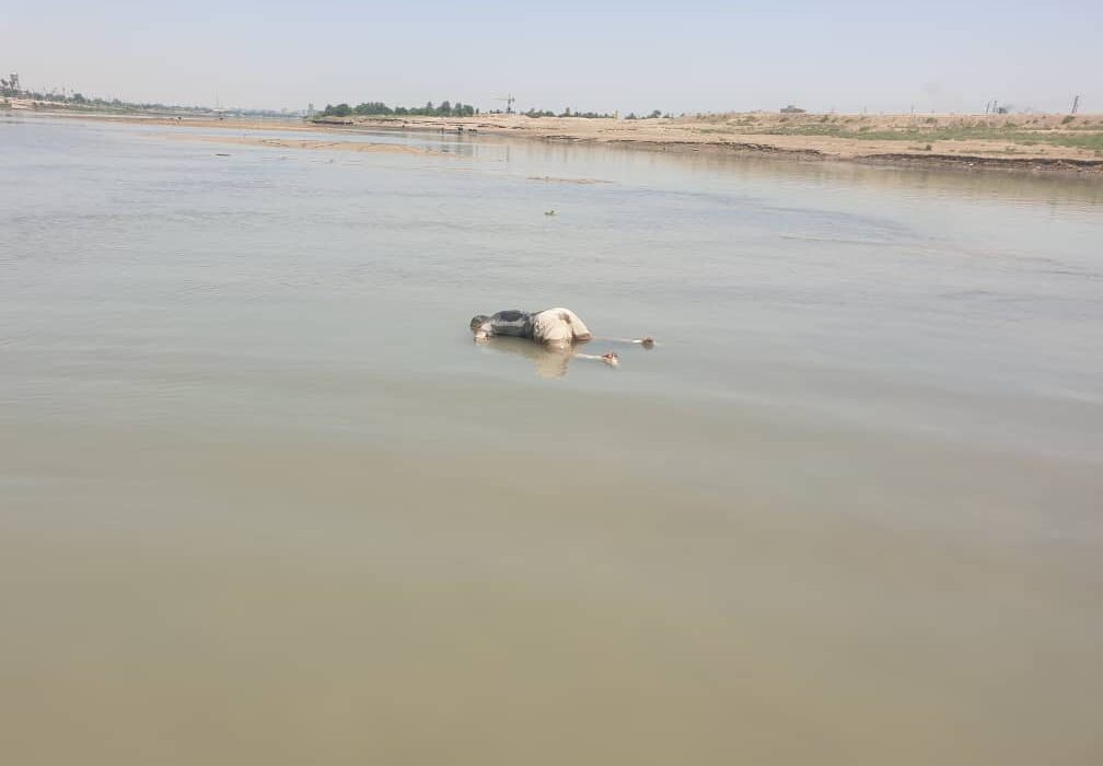 کشف جسد در رودخانه ی کارون توسط حوزه بسیج دریایی حاج قاسم سلیمانی