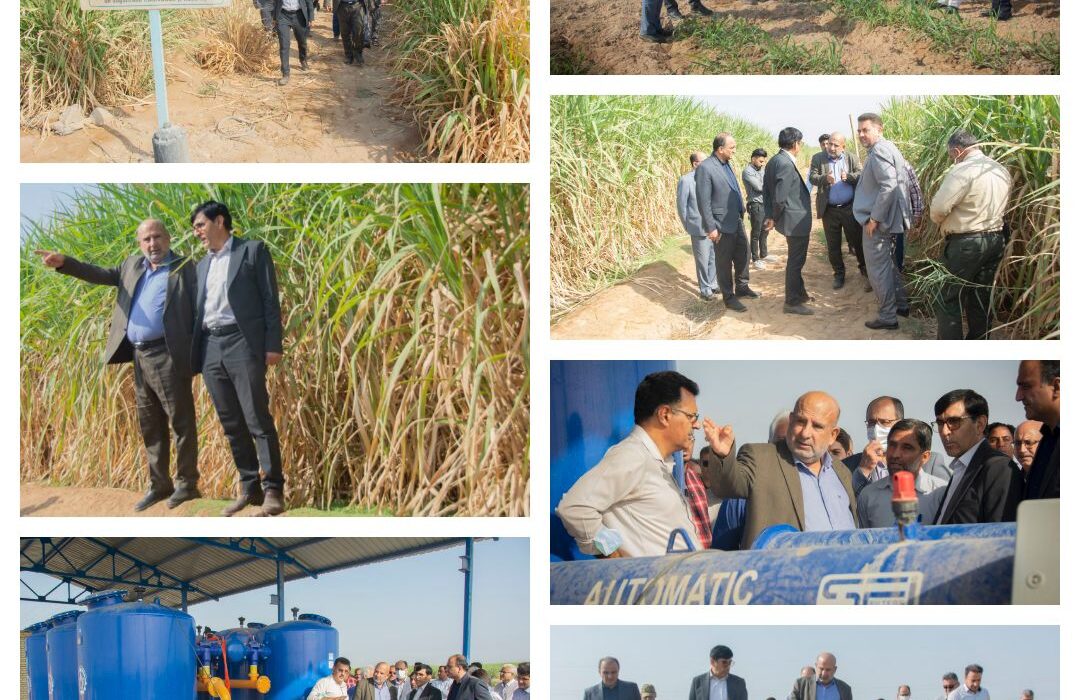 معاون وزیر جهاد کشاورزی از طرح آبیاری زیر سطحی کشت و صنعت‌های نیشکری بازدید کرد