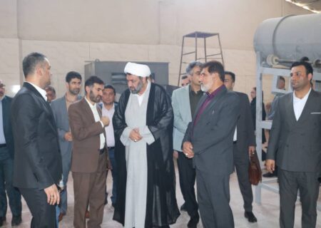 باحضور مسئولین استانی انجام شد  افتتاح کارخانه تولید خوراک آبزیان فرا تغذیه در اهواز
