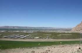 نقض حقوق کارگران در شرکت صحرای جنوب