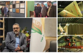 شرکت لوح سبز جنوب در دیماه امسال رکورد شکست؛ تولید امدیاف ۱۳ درصد فراتر از ظرفیت اسمی