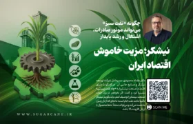 چگونه «نفت سبز» میتواند موتور صادرات، اشتغال و رشد پایدار شود؟ نیشکر؛ مزیت خاموش اقتصاد ایران